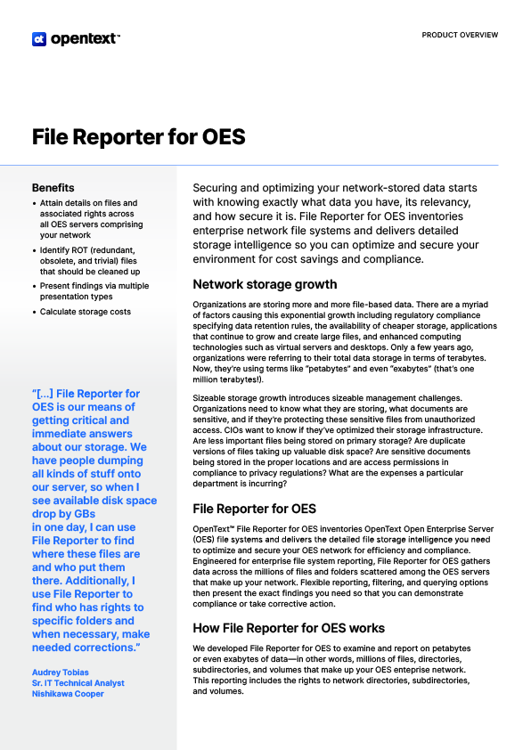 file-reporter-for-oes-po-en